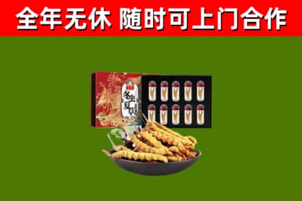 台东回收冬虫夏草价格