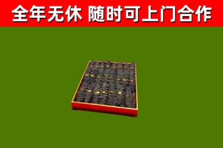 台东回收海参